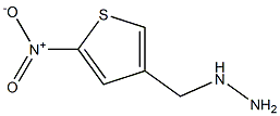 (5-NITRO-THIOPHEN-3-YLMETHYL)-HYDRAZINE Struktur