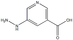 5-HYDRAZINO-NICOTINIC ACID Struktur