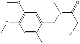 2-CHLORO-N-(4,5-DIMETHOXY-2-METHYLBENZYL)-N-METHYLACETAMIDE Struktur