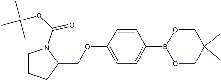 TERT-BUTYL 2-[[4-(5,5-DIMETHYL-1,3,2-DIOXABORINAN-2-YL)PHENOXY]METHYL]PYRROLIDINE-1-CARBOXYLATE Struktur