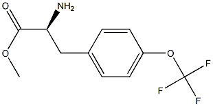 METHYL (2S)-2-AMINO-3-[4-(TRIFLUOROMETHOXY)PHENYL]PROPANOATE Struktur