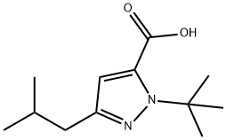 1-(TERT-BUTYL)-3-(2-METHYLPROPYL)-1H-PYRAZOLE-5-CARBOXYLIC ACID Struktur