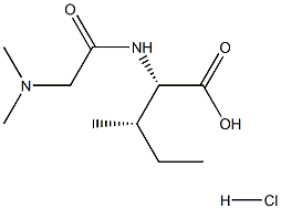 (S,S)-2-(2-DIMETHYLAMINO-ACETYLAMINO)-3-METHYL-PENTANOIC ACID HYDROCHLORIDE Struktur