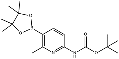 6-TERT-BUTYLOXYCARBONYLAMINO-2-METHYLPYRIDINE-3-BORONIC ACID PINACOL ESTER Struktur