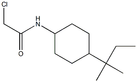 2-CHLORO-N-[4-(1,1-DIMETHYLPROPYL)CYCLOHEXYL]ACETAMIDE Struktur