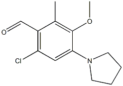 6-CHLORO-3-METHOXY-2-METHYL-4-PYRROLIDIN-1-YL-BENZALDEHYDE Struktur