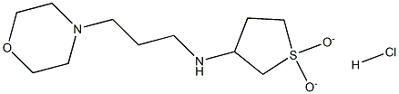 N-(1,1-DIOXIDOTETRAHYDROTHIEN-3-YL)-N-(3-MORPHOLIN-4-YLPROPYL)AMINE HYDROCHLORIDE Struktur