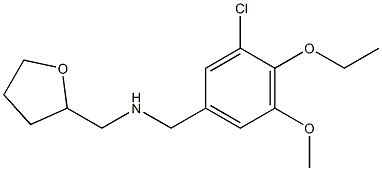 1-(3-CHLORO-4-ETHOXY-5-METHOXYPHENYL)-N-(TETRAHYDROFURAN-2-YLMETHYL)METHANAMINE Struktur