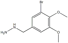 3-BROMO-4,5-DIMETHOXY-BENZYL-HYDRAZINE Struktur