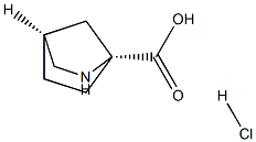 (1R,4S)-2-AZABICYCLO[2.2.1]HEPTANE-1-CARBOXYLIC ACID HYDROCHLORIDE Struktur