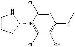 3-((2S)PYRROLIDIN-2-YL)-2,4-DICHLORO-6-METHOXYPHENOL Struktur