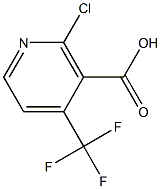 2-CHLORO-4-(TRIFLUOROMETHYL)NICOTINIC ACID Struktur