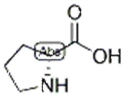 D-脯氨酸