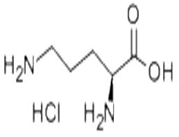 L-鳥(niǎo)氨酸鹽酸鹽/L-2,5-二氨基戊酸鹽酸鹽/L-Ornithine HCL