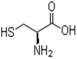L-半胱氨酸;L-beta-巰基丙氨酸