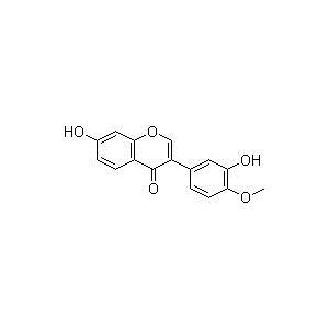 毛蕊異黃