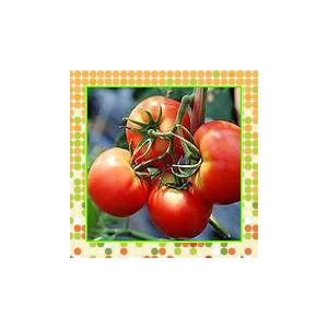 番茄紅素Lycopene，2%5%,6%,10%（西安瑞迪）