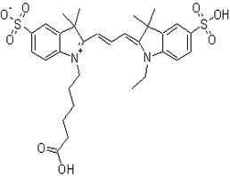 cy3