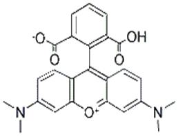 6-羧基四甲基羅丹明;6-羧基四甲基羅丹明;6-羧基四甲基羅丹明(單一化合物)