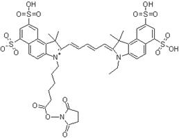 Cy5.5,SE [Cy5.5-N-羥基琥珀酰亞胺酯]