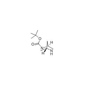 (1S,4S)-2-Boc-2,5-二氮雙環(huán)［2.2.1］庚烷