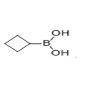 環(huán)丁基硼酸