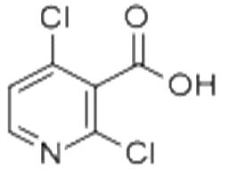 2,4-二氯煙酸