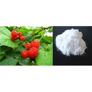 Organic Natural Raspberry ketone,fructus rubi p.e. Flavoring Agents,Food flavor CAS:5471-51-2