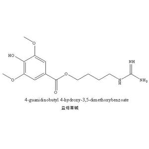 益母草