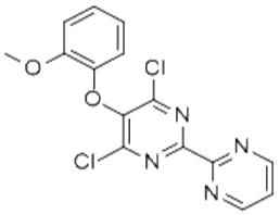 4,6-二氯-5-(2-甲氧基苯氧基)-2,2'-二嘧啶