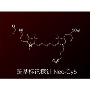 Neo-Cy5; 巰基標記探針; 碘乙酰胺 Cy5; Cy5 Idoacetamide