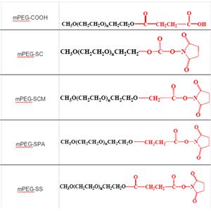單官能團(tuán)聚乙二醇 PEG(mPEG) PEG修飾