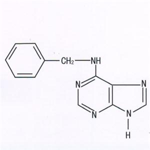 6-芐氨基嘌呤 (6-BA)