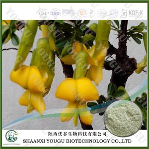 Herbal medicine extract manufacturer supply isoflavones genistein phytoestrogens