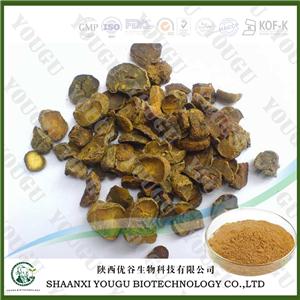 Natural corydalis yanhusuo extract /Rhizoma Corydalis Extract/tetrahydropalmatin