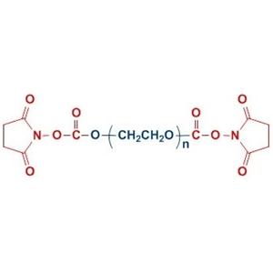 SC-PEG-SC 聚乙二醇 二琥珀酰亞胺碳酸酯