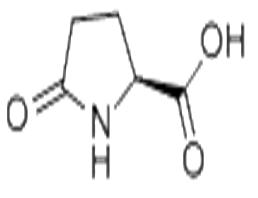 L-焦谷氨酸