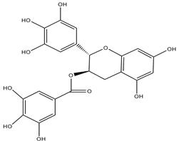 沒食子兒茶素沒食子酸酯，HPLC≥98%