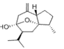 莪術(shù)醇，HPLC≥98%