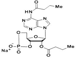 二丁酰環(huán)磷腺苷鈉