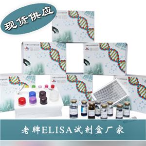 人基質(zhì)金屬蛋白酶2(MMP-2)ELISA試劑盒