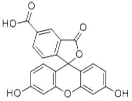 5-羧基熒光