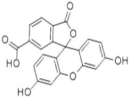 6-羧基熒光素