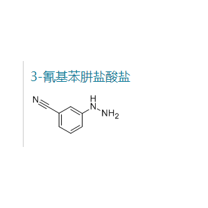 3-氰基苯肼