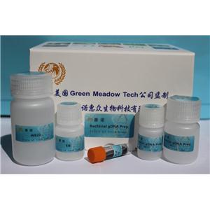 納米磁珠法細(xì)菌總 RNA 快速提取試劑盒