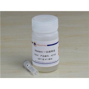 ANTI-MYC TAG MOUSE MONOCLONAL ANTIBODY