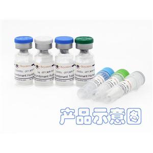 Recombinant Human ApoA-I