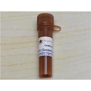 YM155 (Sepantronium Bromide) (Survivin抑制劑)