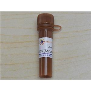 YM155 (Sepantronium Bromide) (Survivin抑制劑)