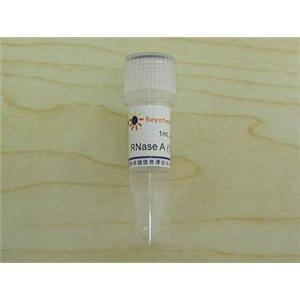 RNase A (10mg/ml)